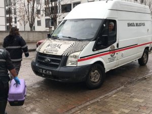 Bitkin Halde Bulunan Kedi Koruma Altına Alındı