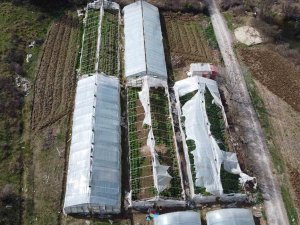 Yalova’da Yenilenecek Eski Seraların Kontrolleri Devam Ediyor