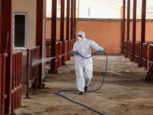 Şap Hastalığına Karşı İlaçlama Çalışması