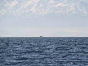 Dağlarda Beyaz Bereket