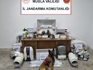 Evini Uyuşturucu Tarlasına Çevirmiş