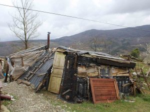 Derme Çatma Barakada Yaşam Mücadelesi Veriyor