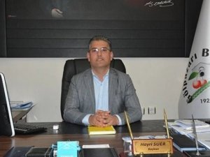 Yüzme Havuzu İçin Kollar Sıvandı