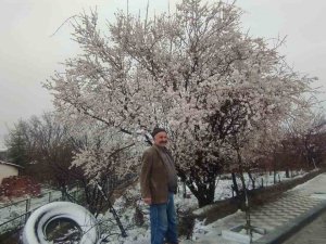 Yozgat’ta Çiçek Açan Erik Ağacı Kar Altında Kaldı