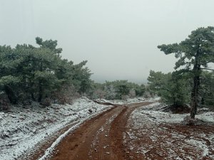 Beyaz Örtüyle Kaplanan Mahallede Kartpostallık Görüntüler Oluştu
