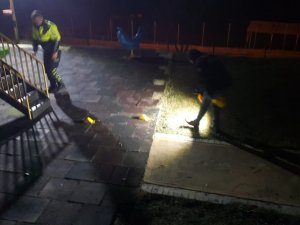 Sinop’ta 1 Kişinin Yaralandığı Silahlı Kavgaya 5 Tutuklama