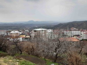 Kulp’ta Yağmur Çiftçinin Yüzünü Güldürdü