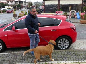 Antalya’da Alman Vatandaşı Bu Kez De Köpekle Birlikte Otomobili Çaldı