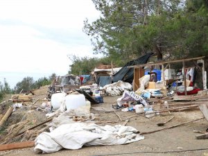 Alanya’da Hazine Arazisini İşgal Eden Baraka Boşaltıldı