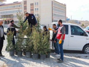 Depremde Hayatını Kaybeden Sağlıkçıların Anısına Fidan Dikildi