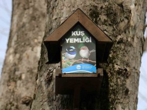 Büyükşehir’in Kuş Yemlikleri Yürekleri Isıttı