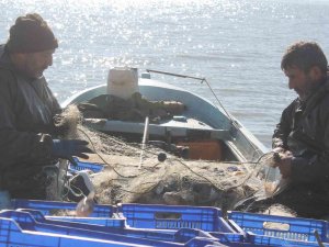 Manyas Gölü’nde Balık Avı Yasağı Yarın Başlıyor