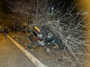 Nevşehir’de Kontrolden Çıkan Araç Ağaca Çarptı: 1 Yaralı