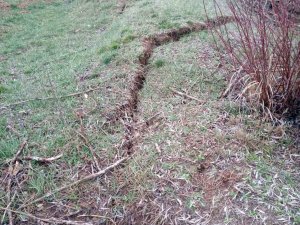 Depremde Tarlada Yarıklar Oluştu