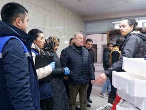 Başkan Yardımcısı Fındık’tan Balık Denetimi