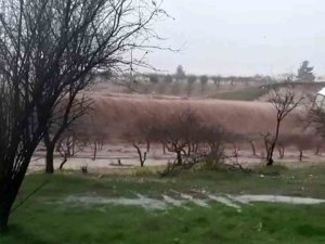 Sel Felaketinin Boyutu Gündüz Ortaya Çıktı