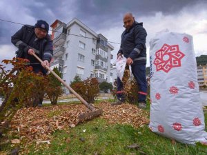 Karesi’de Doğadan Gelen Doğayla Buluşuyor