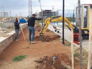 Artuklu Belediyesi Kenti Yeşillendiriyor