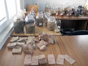 Türkiye’nin Ata Tohum Merkezi