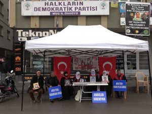 Muşlu Anneler Eylemlerine Devam Etti