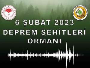 Bu Sene Fidanlar Deprem Şehitleri Adına Dikilecek