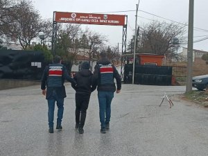 Kırşehir Jandarmadan Terör Operasyonu: 1 Tutuklu