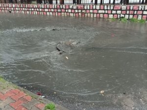 Nusaybin’de Belediyenin Çalışmaları Yetersiz Kaldı, Vatandaş İsyan Etti