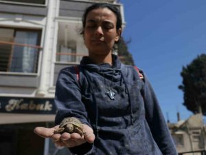 Hatay’da Depremzede, Ağır Hasarlı Evine Girdiğinde Gözlerine İnanamadı