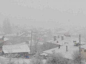 Denizli, Mart Ayının Ortasında Yağan Karla Beyaza Büründü