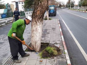Siirt’te Park Ve Bahçelerde Temizlik Ve Bakım Çalışmaları Başlatıldı