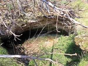 Antalya’nın Göbeğinde 35 Metre Derinlikteki Obrukta Çok Sayıda Tatlı Su Canlısı Tespit Edildi