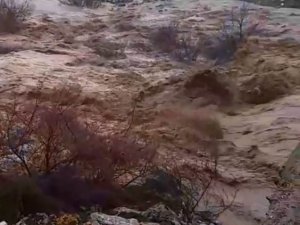 Şiddetli Yağış Sonrası Çay Coştu