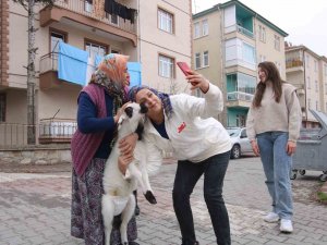 Kuzusu Şehrin Maskotu Oldu