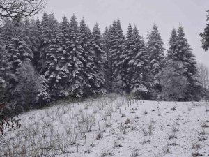 O Mahallede Hem Kış Hem Bahar Yaşanıyor