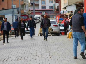 Depremin Ardından Vatandaşlar Bu İlçeye Akın Etti