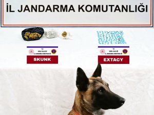 Ordu’da Jandarma Ekiplerinden Uyuşturucu Ve Kaçak Tütün Operasyonu