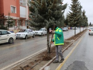 Ereğli’de Bahar Hazırlıkları Devam Ediyor
