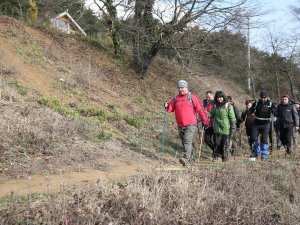 Mysia Yolları İçin Türsab İle İş Birliği