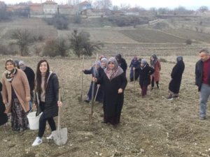 Domaniç’te Tıbbi Ve Aromatik Bitkileri Yetiştiriciliği Kursu Sona Erdi