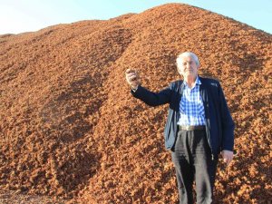 Kömür Fiyatları Arttı, Çam Fıstığı Kabukları Kıymete Bindi