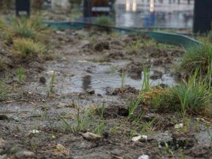 Yağmur Toprağa Can Suyu, Çiftçiye Umut Oldu