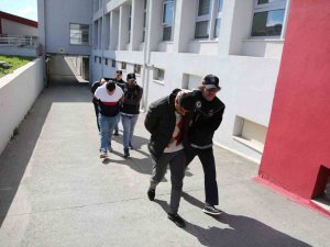 Arı Kovanından Uyuşturucu Çıktı