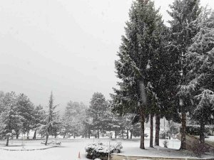 Doğaseverlerin Gözdesi Abant’ta Mart Ayında Kar Sürprizi