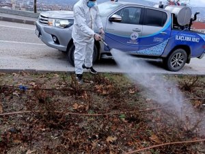 Elazığ’da İlaçlama Çalışmaları Sürüyor