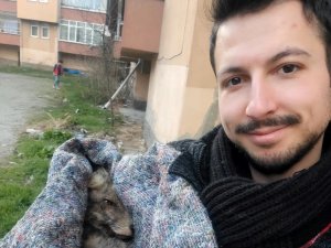 Kütahyalı Hayvan Sever Ormanlık Alanda Bitkin Halde Bulduğu Tilkiyi Hayata Döndürdü
