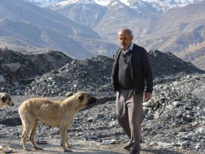 Hayırsever Vatandaş Sokak Köpekleri İçin 30 Kilometre Yol Kat Ediyor