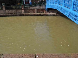 Porsuk Kahverengiye Büründü