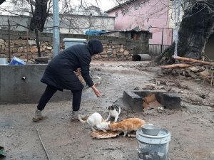 Depremden Sonra Sel Vurdu Ama O Sokak Kedilerini İhmal Etmedi