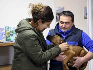 Depremzede Aile İle Depremzede Köpeğin Buluşma Anı