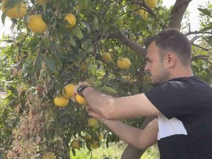Küçükçekmece Belediyesi’nden Hatay’daki Üreticilere Destek